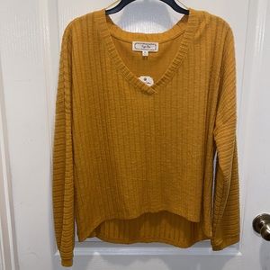 Hippie Rose Cozy V-Neck Ribbed Top